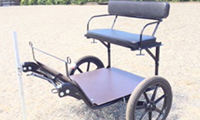 Standard Vehicle