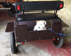 Doggie Seat