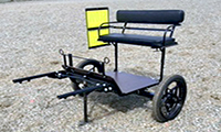 Carriage Wheels