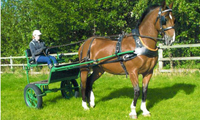 Horse Vehicle